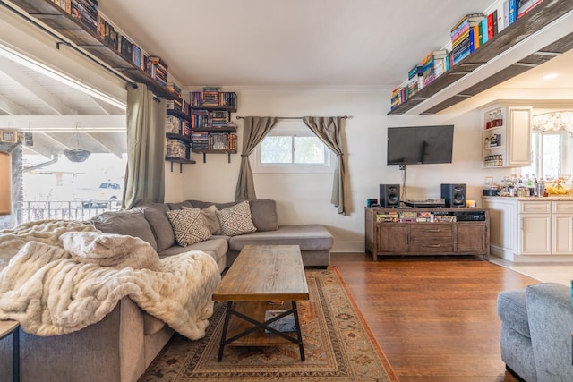living room featuring a wealth of natural light, baseboards, crown molding, and wood finished floors