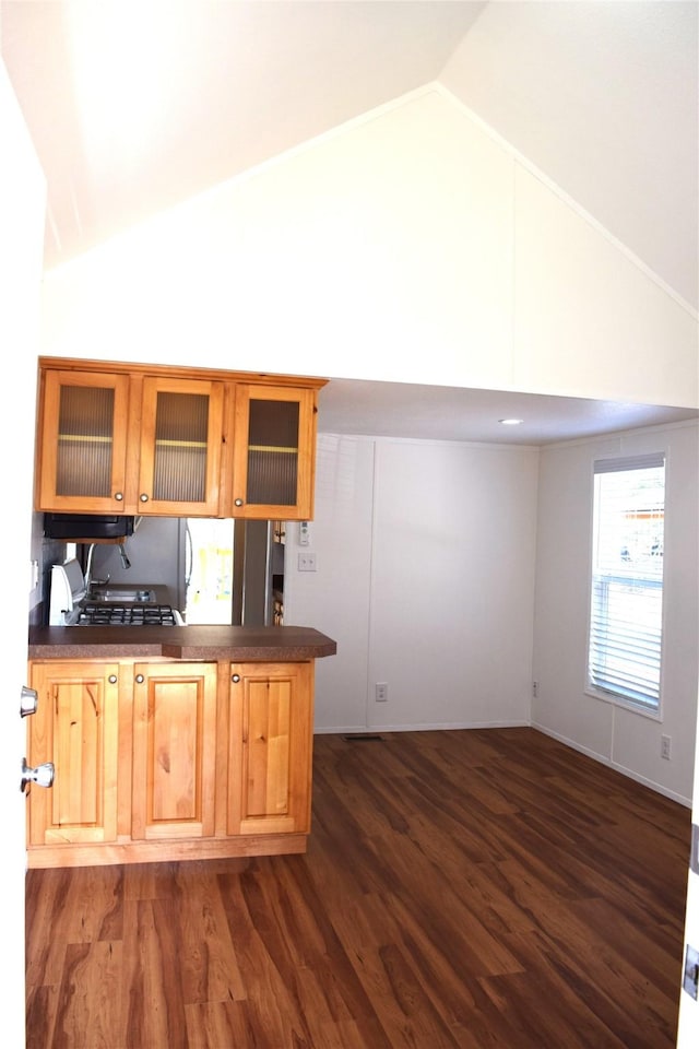 20795 Whispering Pines Rd, Missoula, MT 59808 - kitchen featuring dark countertops, a peninsula, dark wood-style floors, high vaulted ceiling, and glass insert cabinets