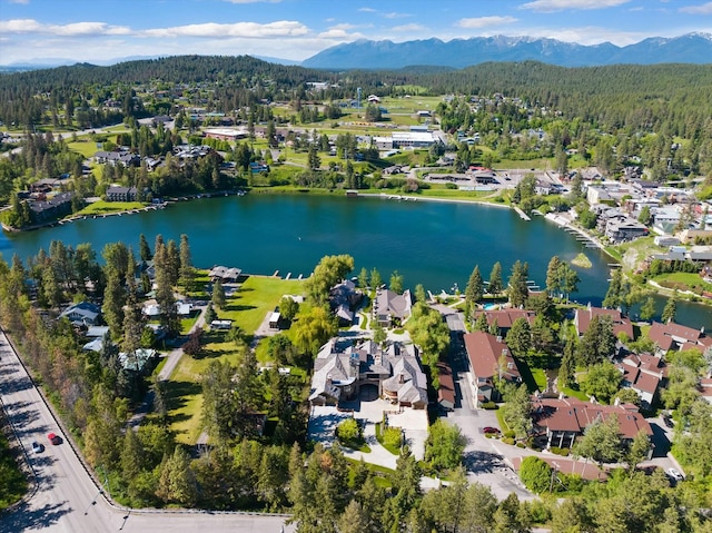 10 Bear Dance Vlg, Bigfork, MT 59911 - aerial view of property's location featuring a water and mountain view and nearby suburban area
