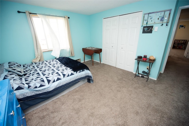 1428 Wilson Ave, Havre, MT 59501 - bedroom with carpet flooring and a closet