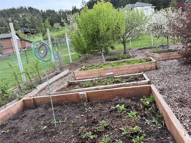 8 Primrose Ct, Kalispell, MT 59901 - view of yard featuring a vegetable garden