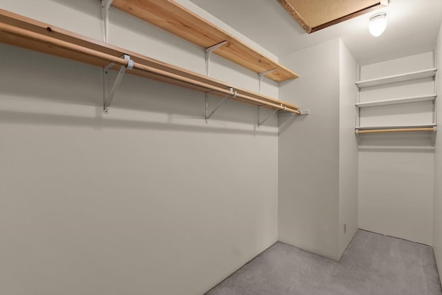 220 Ferndale Dr, Bigfork, MT 59911 - walk in closet featuring carpet flooring