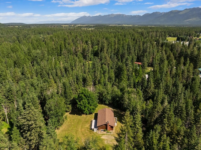 220 Ferndale Dr, Bigfork, MT 59911 - bird's eye view of a forest and mountains