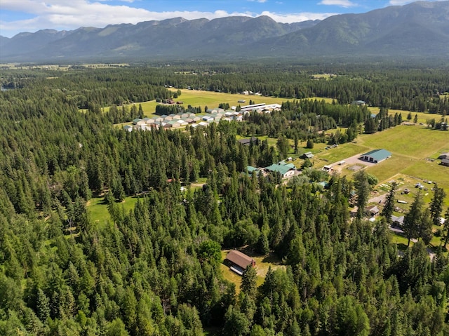 220 Ferndale Dr, Bigfork, MT 59911 - aerial view of a mountain backdrop