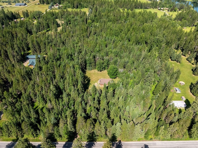 220 Ferndale Dr, Bigfork, MT 59911 - aerial view of property's location with a forest