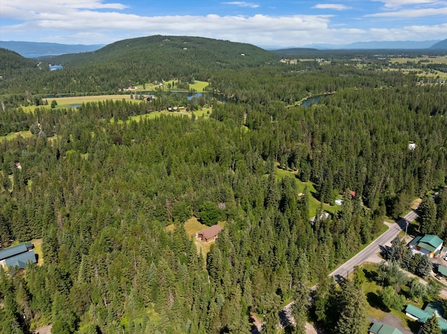 220 Ferndale Dr, Bigfork, MT 59911 - aerial view of property's location featuring a forest and a water and mountain view