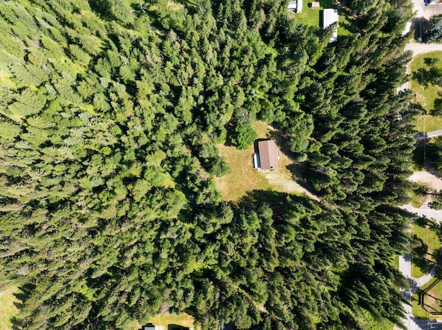 220 Ferndale Dr, Bigfork, MT 59911 - view of property location