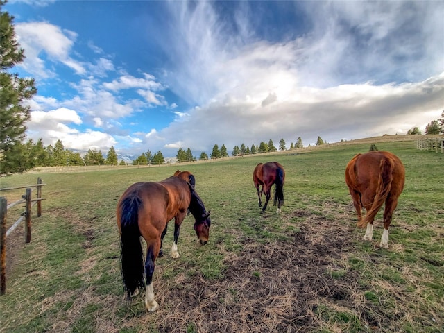 5 Alpine Valley Ln, Clancy, MT 59634 - view of home's community with a rural view