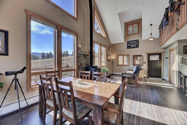 5 Alpine Valley Ln, Clancy, MT 59634 - dining area with a towering ceiling, a wood stove, wood-type flooring, a baseboard radiator, and baseboard heating