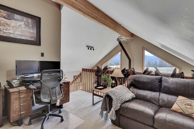 5 Alpine Valley Ln, Clancy, MT 59634 - view of carpeted office