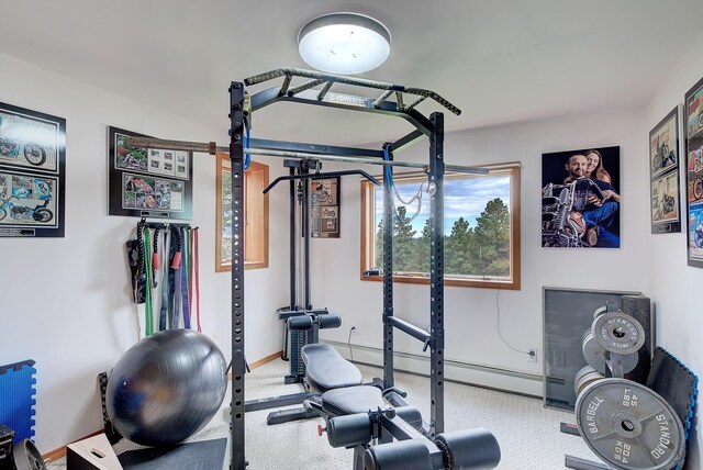 5 Alpine Valley Ln, Clancy, MT 59634 - workout area featuring carpet flooring and baseboards