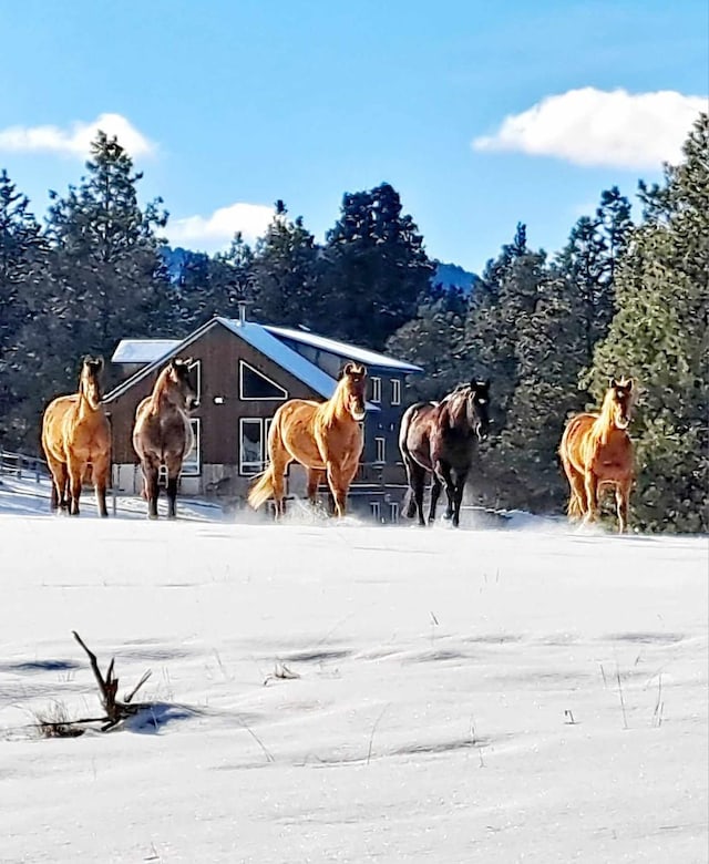 5 Alpine Valley Ln, Clancy, MT 59634 - view of stable
