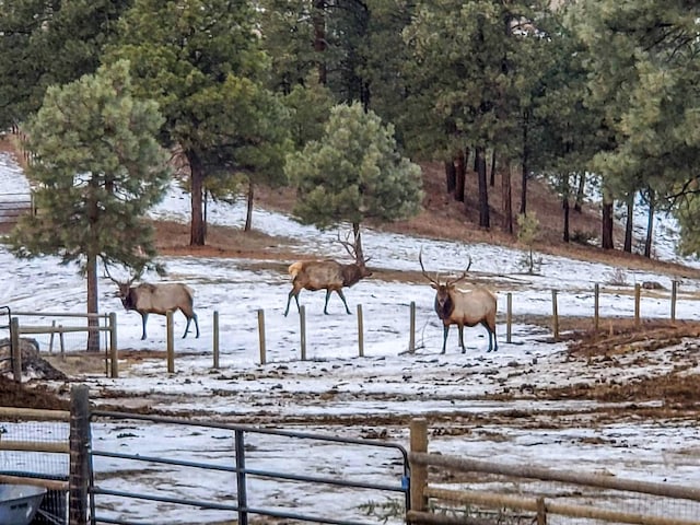 5 Alpine Valley Ln, Clancy, MT 59634 - view of snowy yard