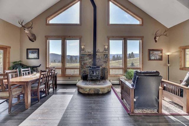 5 Alpine Valley Ln, Clancy, MT 59634 - living area with a wood stove, a baseboard heating unit, high vaulted ceiling, and dark wood-style flooring
