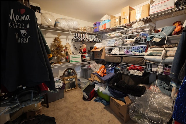 261 Locust Ln, Seeley Lake, MT 59868 - view of storage area