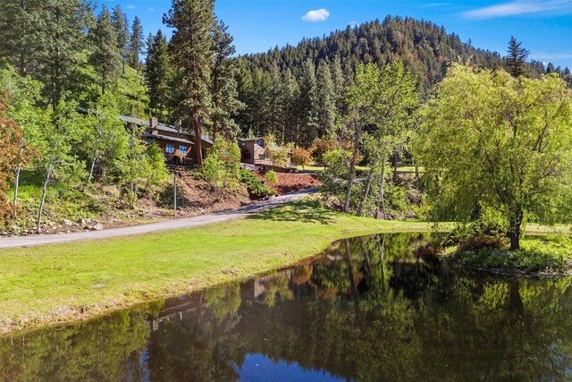 2041 Sleeping Child Rd, Hamilton, MT 59840 - view of property's community featuring a wooded view and a water view