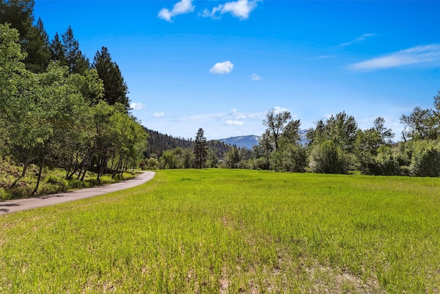2041 Sleeping Child Rd, Hamilton, MT 59840 - surrounding community with a forest view, a yard, and a mountain view