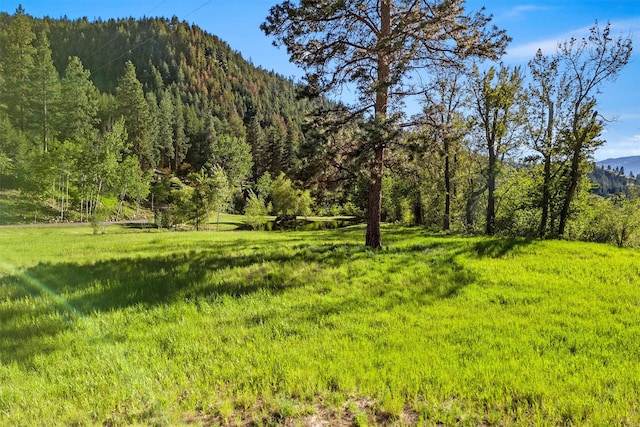 2041 Sleeping Child Rd, Hamilton, MT 59840 - view of yard with a mountain view and a forest view