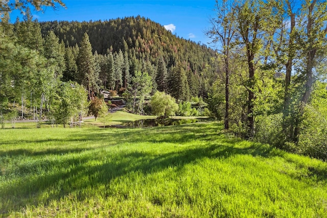 2041 Sleeping Child Rd, Hamilton, MT 59840 - view of yard with a view of trees and a mountain view