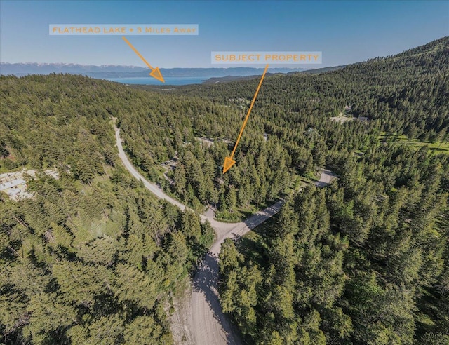 1365 Bierney Creek Rd, Lakeside, MT 59922 - aerial overview of property's location featuring a forest
