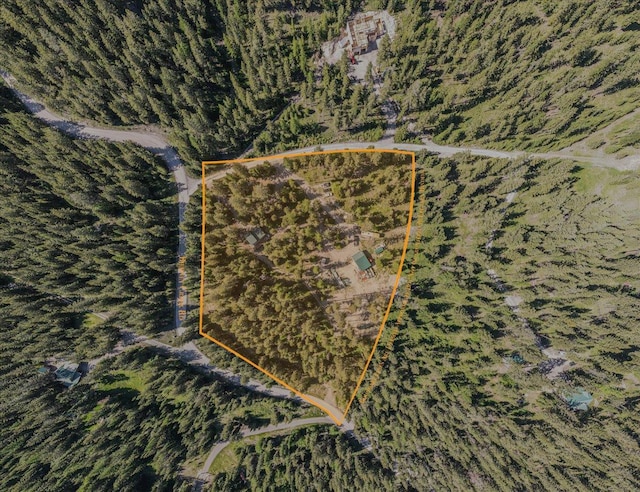 1365 Bierney Creek Rd, Lakeside, MT 59922 - aerial view of property's location featuring property boundaries highlighted