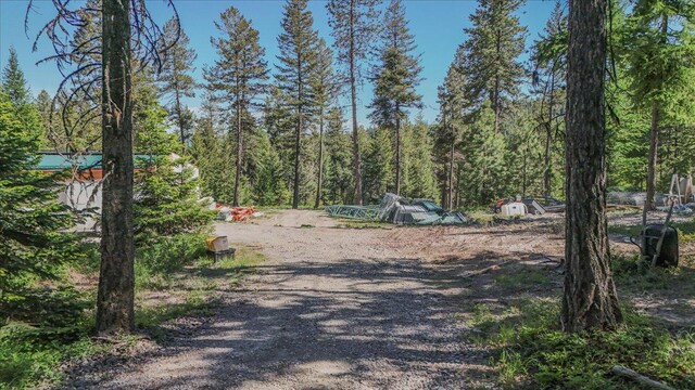 1365 Bierney Creek Rd, Lakeside, MT 59922 - view of dirt / gravel road with a forest view