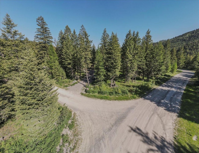 1365 Bierney Creek Rd, Lakeside, MT 59922 - view of dirt / gravel road featuring a view of trees