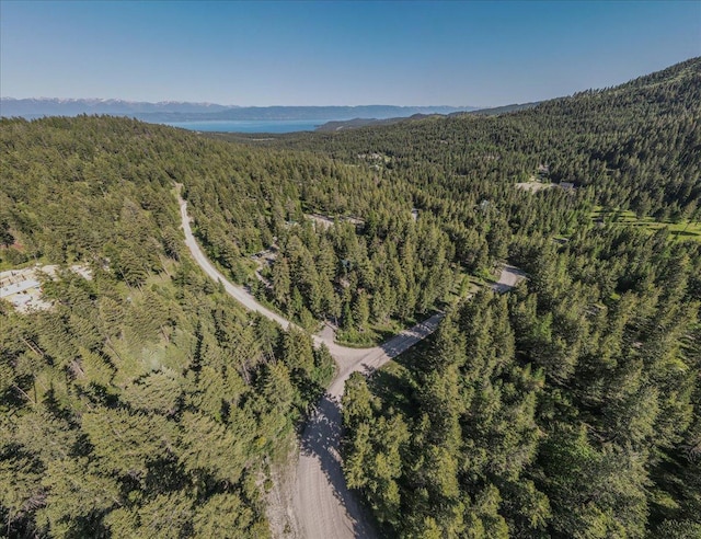 1365 Bierney Creek Rd, Lakeside, MT 59922 - view of property location with a forest