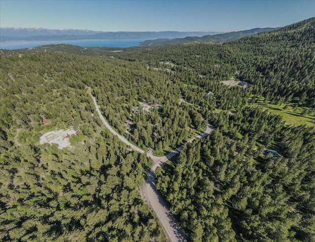 1365 Bierney Creek Rd, Lakeside, MT 59922 - aerial view of property and surrounding area featuring a forest and a mountain backdrop