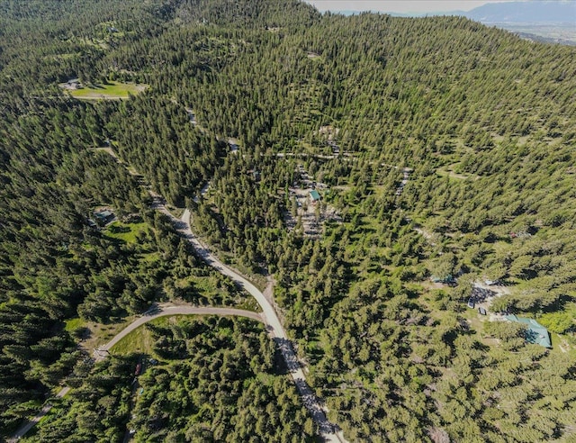 1365 Bierney Creek Rd, Lakeside, MT 59922 - aerial view of property's location with a forest