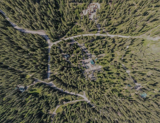1365 Bierney Creek Rd, Lakeside, MT 59922 - view of property location