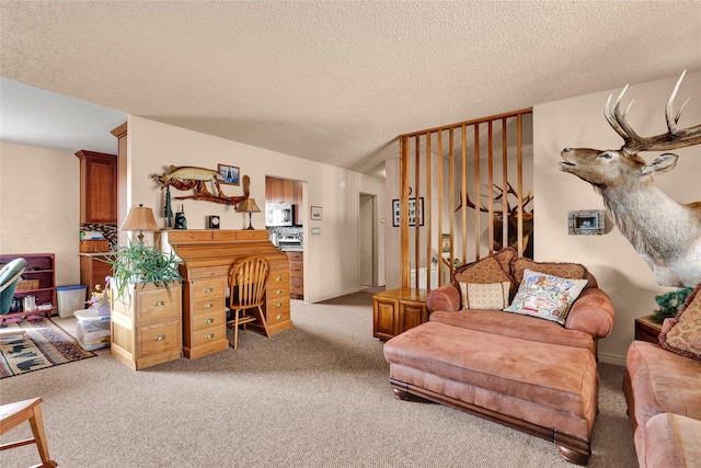 carpeted living area with a textured ceiling
