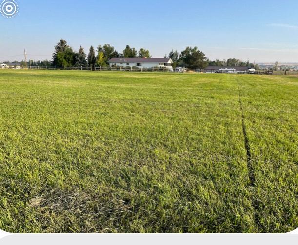 view of yard featuring a rural view
