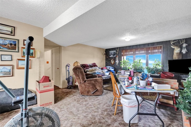 living area featuring a textured ceiling and carpet floors