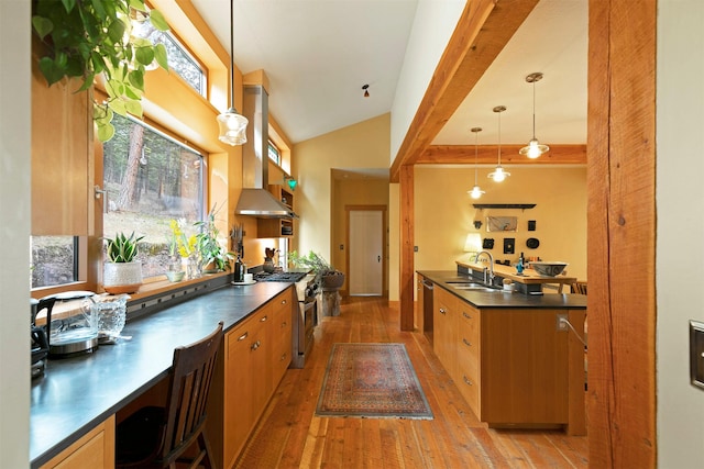 kitchen featuring light wood-style floors, wall chimney exhaust hood, appliances with stainless steel finishes, a sink, and dark countertops