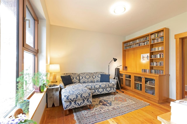 living area with wood finished floors