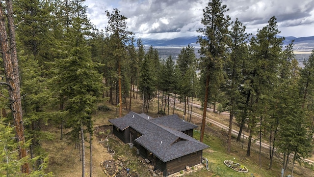 view of yard featuring a wooded view and a mountain view