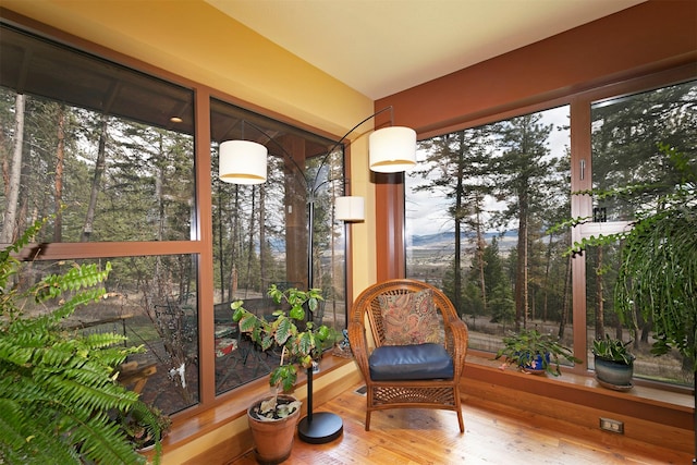 sunroom / solarium featuring wood finished floors and plenty of natural light