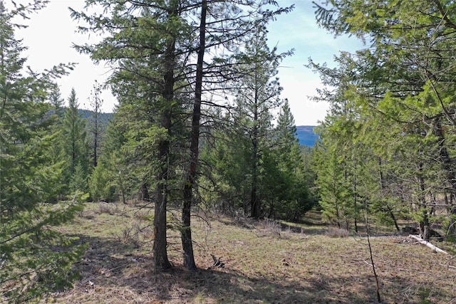 NHN Brookes Dr, Rexford, MT 59930