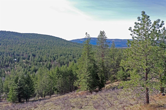 NHN Brookes Dr, Rexford, MT 59930