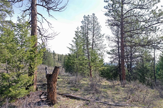 NHN Brookes Dr, Rexford, MT 59930