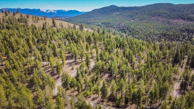 NHN Brookes Dr, Rexford, MT 59930
