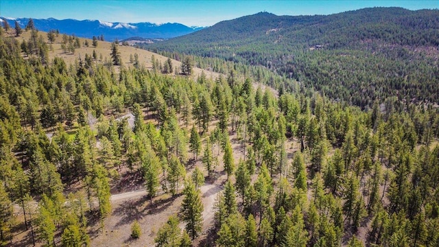 NHN Brookes Dr, Rexford, MT 59930
