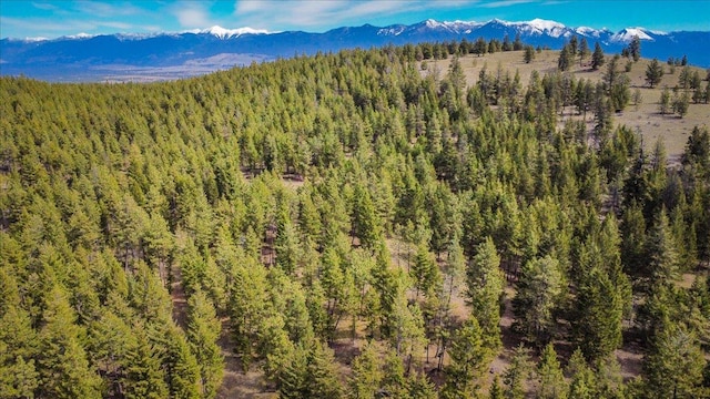 NHN Brookes Dr, Rexford, MT 59930