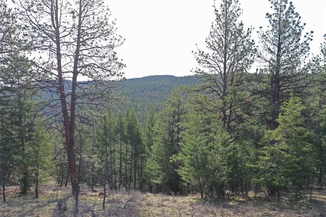 NHN Brookes Dr, Rexford, MT 59930