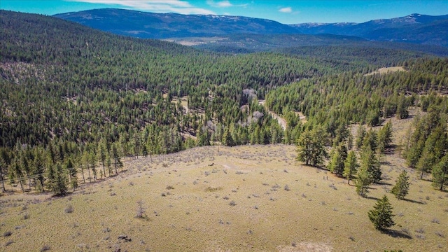 NHN Brookes Dr, Rexford, MT 59930