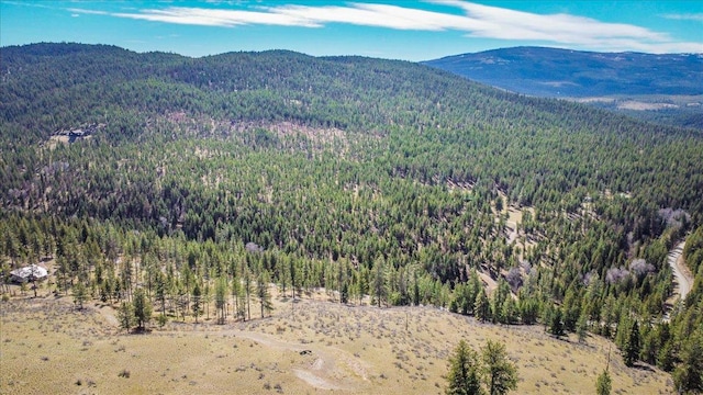 NHN Brookes Dr, Rexford, MT 59930