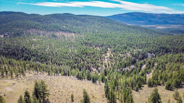 NHN Brookes Dr, Rexford, MT 59930