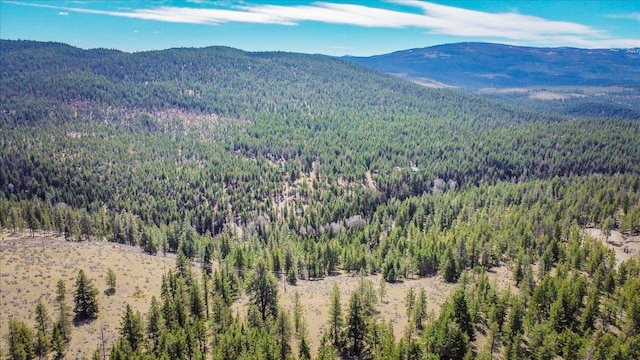 NHN Brookes Dr, Rexford, MT 59930
