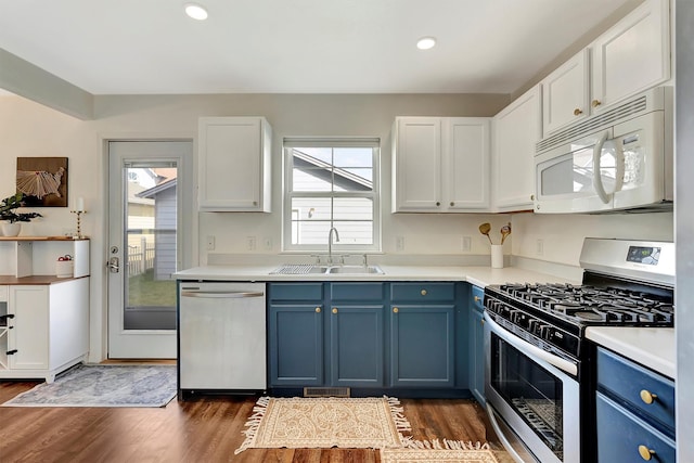kitchen with stainless steel appliances, a sink, blue cabinets, and a healthy amount of sunlight